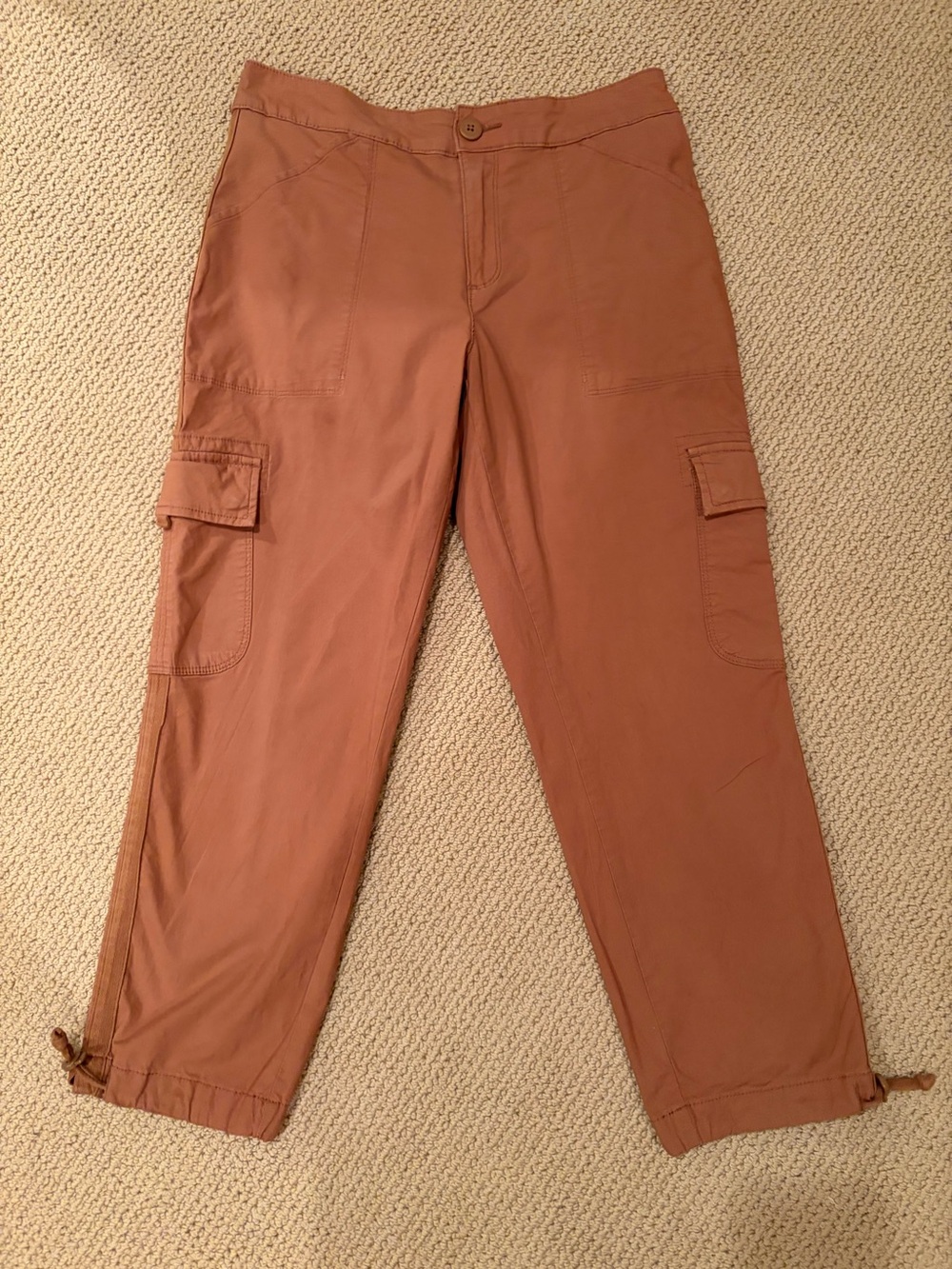 Social Standard by Sanctuary for Anthropologie women’s brown cargo pants small
